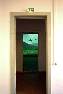 111.jpg