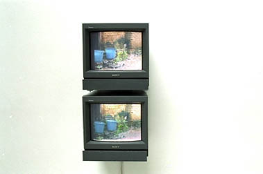 050.jpg